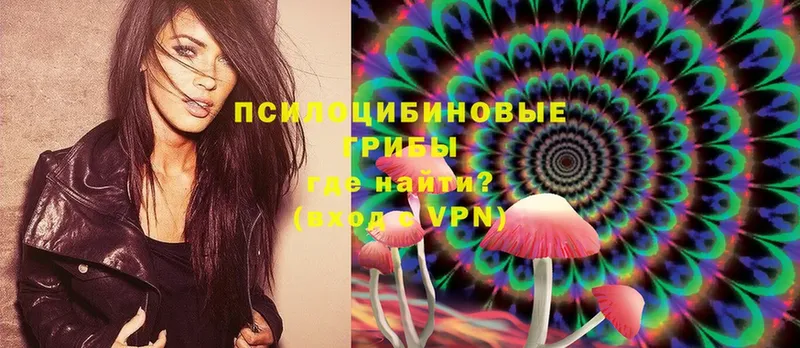 Псилоцибиновые грибы Psilocybine cubensis Белёв